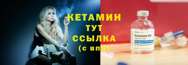прущие грибы Приозерск
