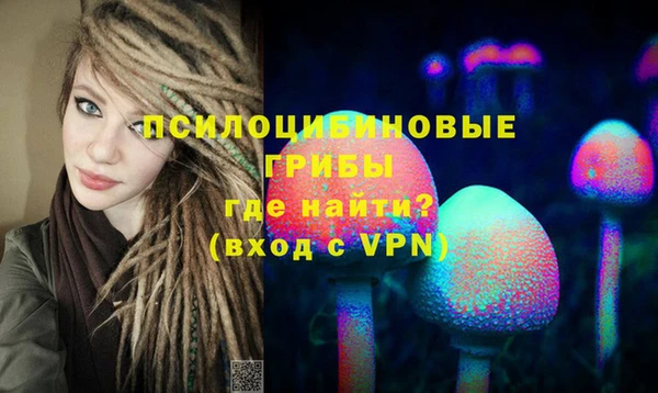 ПСИЛОЦИБИНОВЫЕ ГРИБЫ Пролетарск
