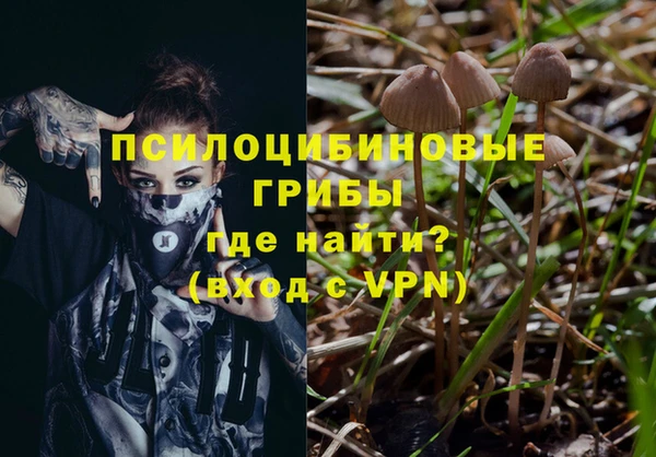 ПСИЛОЦИБИНОВЫЕ ГРИБЫ Пролетарск