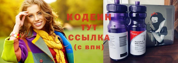 прущие грибы Приозерск