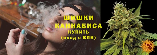 прущие грибы Приозерск