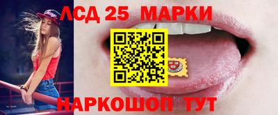 шишки Кимры