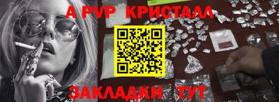 спайс Кингисепп