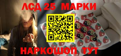 шишки Кимры