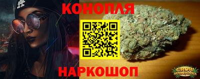 спайс Кингисепп