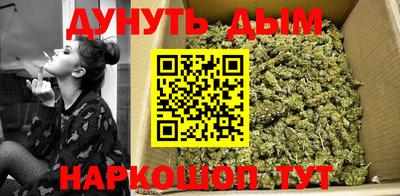 спайс Кингисепп