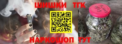 спайс Кингисепп