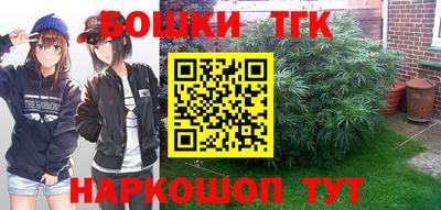 спайс Кингисепп
