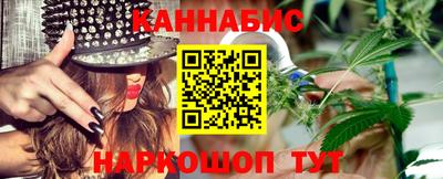 спайс Кингисепп