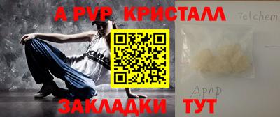 спайс Кингисепп