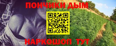 спайс Кингисепп
