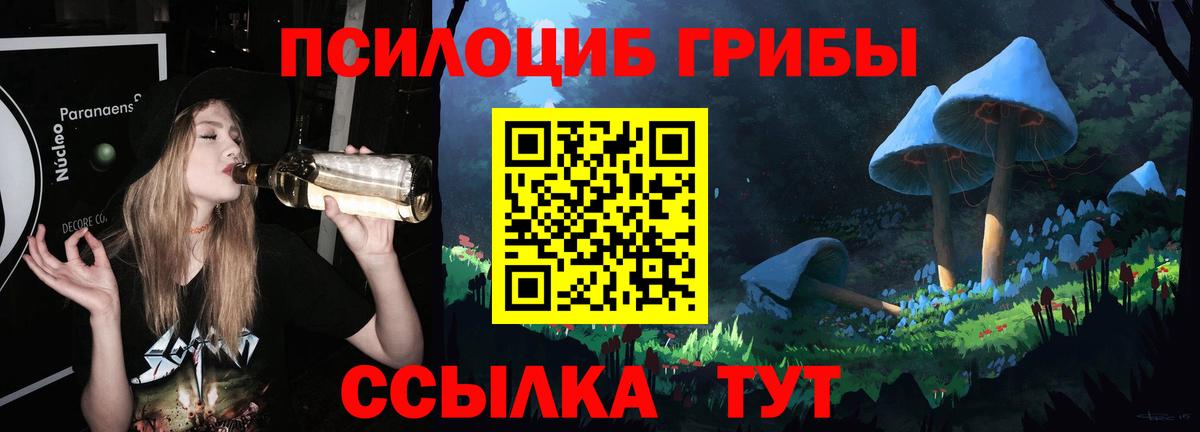 наркота  Псилоцибиновые грибы ЛСД  Сердобск  Галлюциногенные грибы Psilocybe 